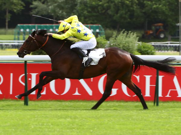 The Summit winning today