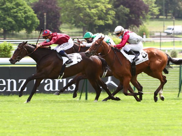 Tropbeau winning at ParisLongchamp 