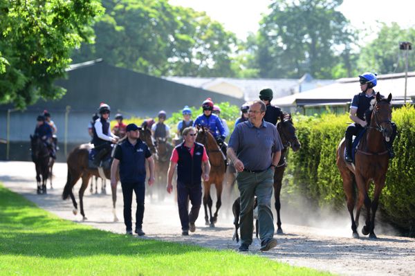 The Ger Lyons team have six runners on the two-year-old card at Naas
