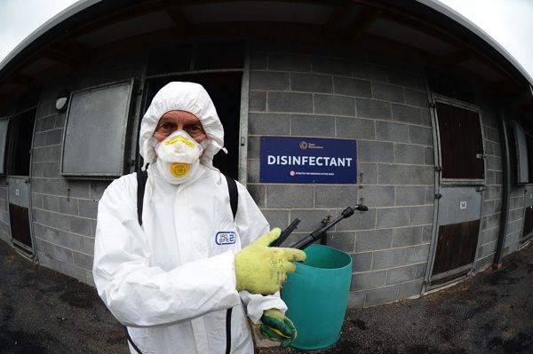 Disinfectant being used in the stable block at Naas