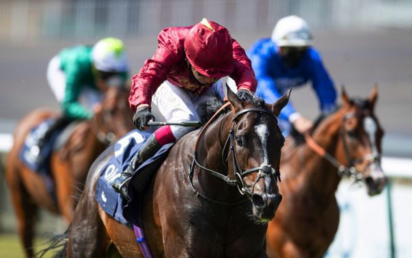 2,000 Guineas winner Kameko