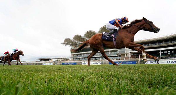 Love - so impressive at Newmarket