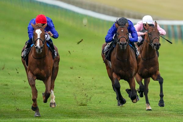 Modern News (red cap) beating stablemate Noble Dynasty