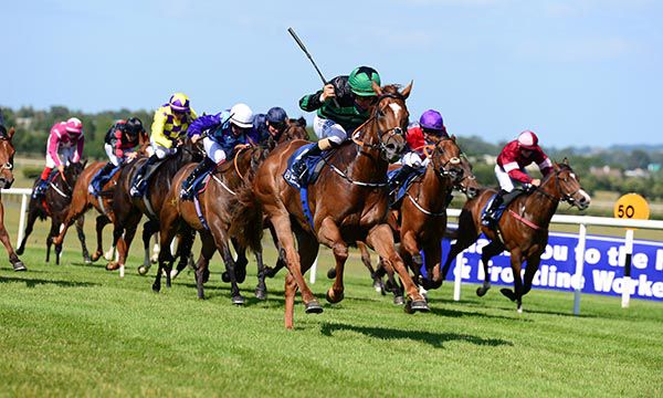 Parkers Hill has them all beaten off under Shane Foley