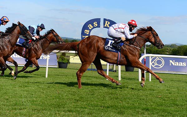Punita Arora (Shane Foley) beats Alligator Alley (Declan McDonogh) and Pistoletto (Seamie Heffernan)