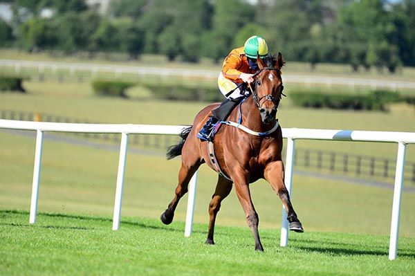 Joey and Sceptical winning at Naas in June
