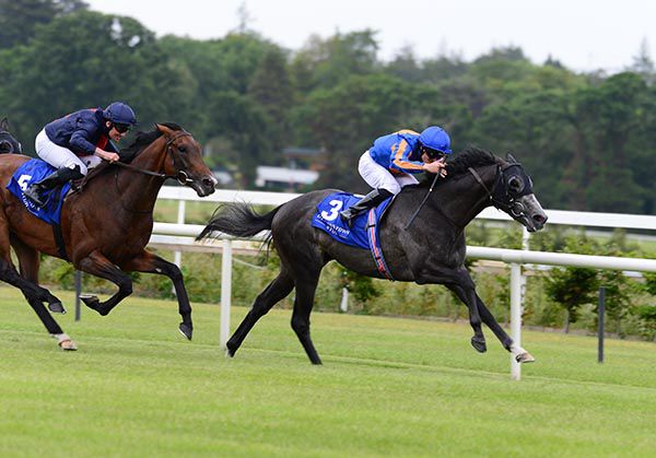 Cormorant (Padraig Beggy) beats Russian Emperor (Seamie Heffernan)