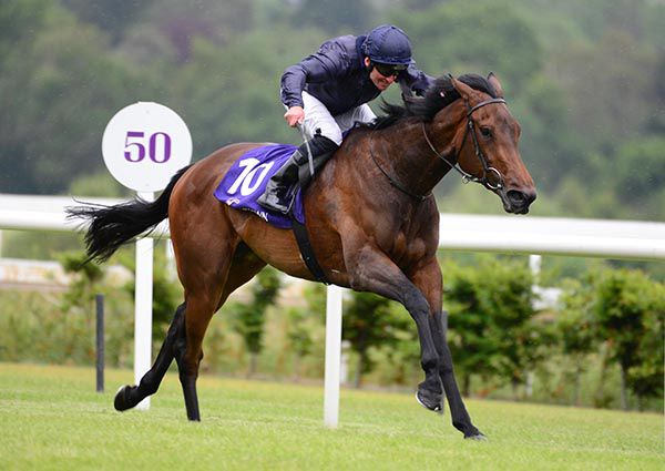 A beautiful shot of Love Locket and Seamie Heffernan