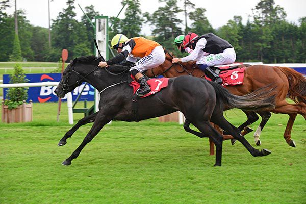 Lynn Britt Cabin gets there on the outer to win under Chris Hayes