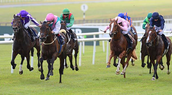 The Ger Lyons trained Siskin won the 2020 Tattersalls Irish 2000 Guineas
