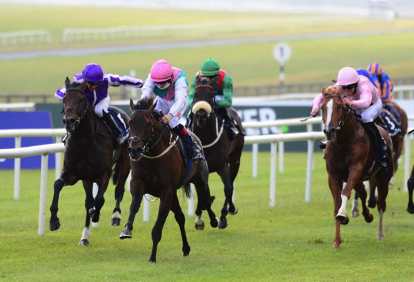 Siskin (pink and green) and Vatican City (right) are both due to run in Wednesday's Sussex Stakes