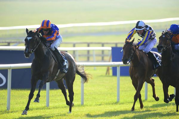 Peaceful (left) winning the Tattersalls Irish 1,000 Guneas at the Curragh