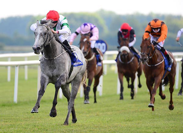 KOOLASICE and Gary Halpin win the Irish Stallion Farms EBF (C&G) Maiden for trainer Johnny Murtagh
