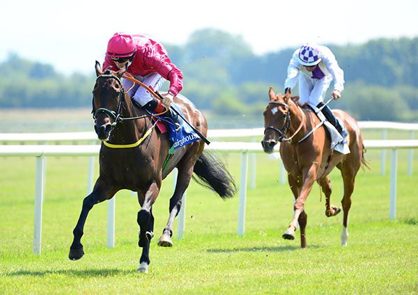 Powerful Ted and Colin Keane 