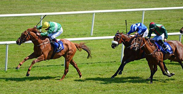 Pearl Warrior and Shane Kelly win from Cape Islay (right) and Moktamel (centre) 
