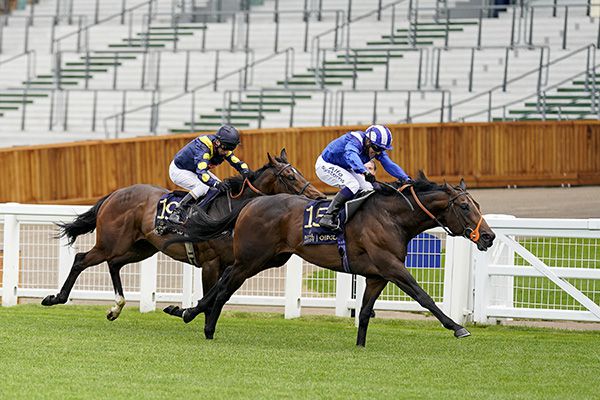 Motakhayyel approaches the winning post