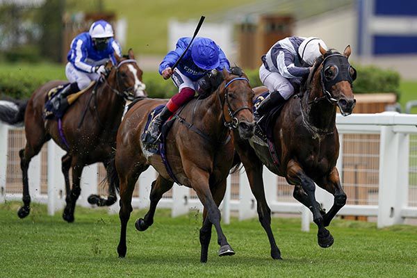 Circus Maximus, right, fends off Terebellum in the Queen Anne Stakes