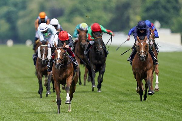 Frankly Darling and Frankie Dettori winning the Ribblesdale Stakes