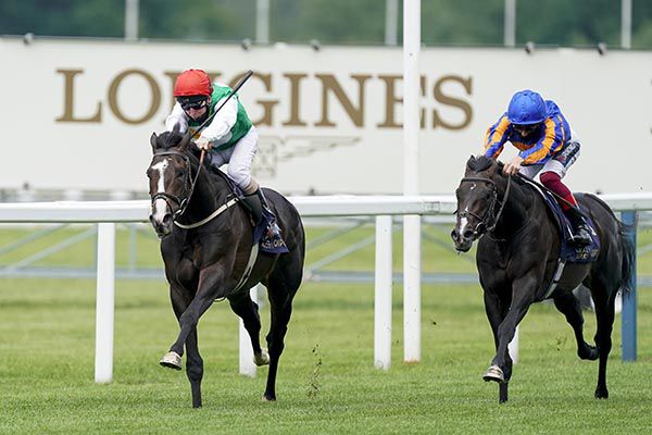 Pyledriver and Martin Dwyer winning The King Edward VII Stakes for trainer Willie Muir
