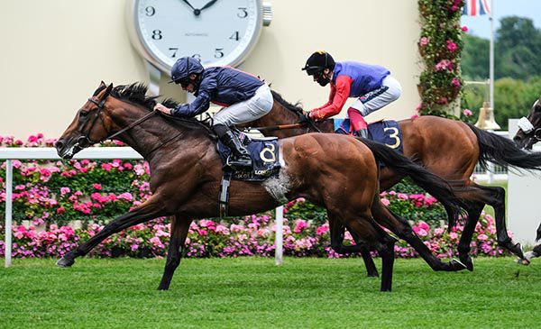Russian Emperor seen here winning at Royal Ascot