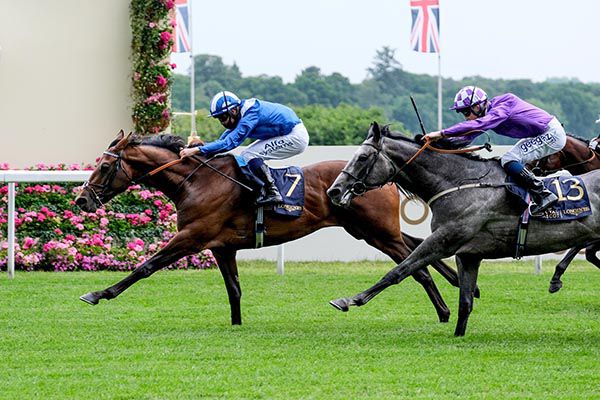Hukum (left) winning at Royal Ascot last summer