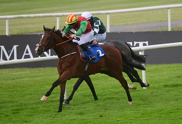 Collaborating and Gary Carroll 