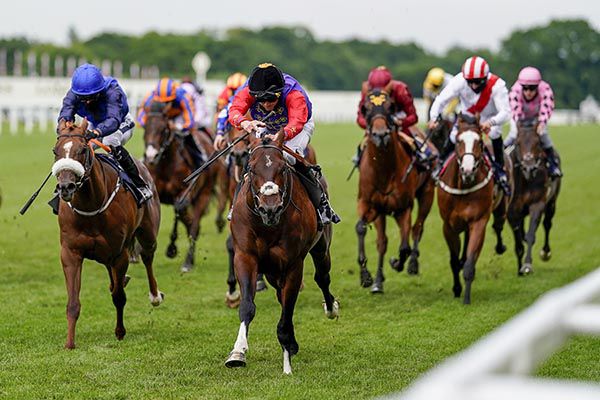 Tactical winning last year's Windsor Castle Stakes at Royal Ascot