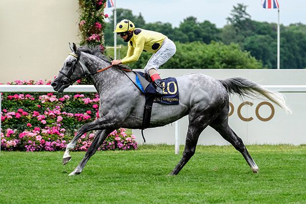                                Fujaira Prince