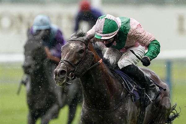 Highland Chief and Rossa Ryan