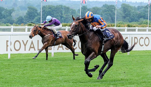 Battleground and Ryan Moore winning the Chesham Stakes at Royal Ascot  