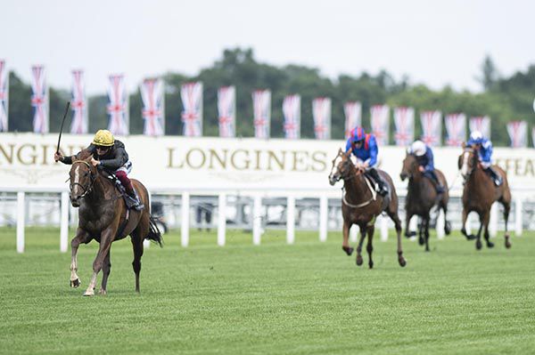Stradivarius wins his third Gold Cup at Royal Ascot in June