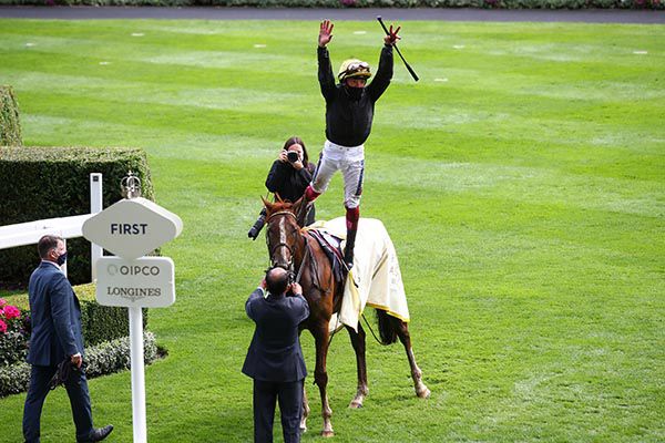Stradivarius and Frankie Dettori after their third Gold Cup win