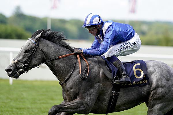 Khaloosy winning last year's Britannia Stakes