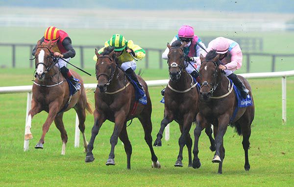 Shalaalaa quickens well on the outer under Gary Carroll