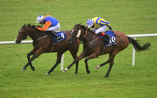 Plough Boy (Shane Crosse) beats Baby Power (Gavin Ryan)