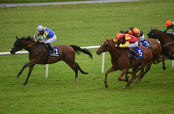 Amazing One wins under Wayne Lordan