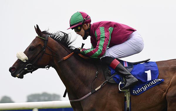 The Mpex Kid and Mikey Sheehy