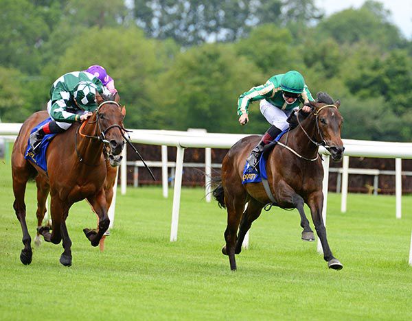 Measure Of Magic  (left) and Shane Kelly won by a short head from Mooniesta