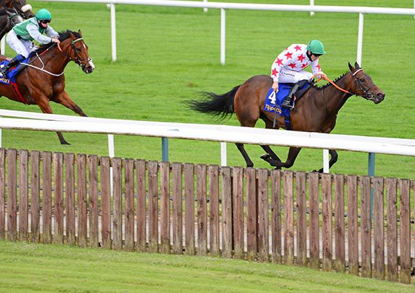 Jungle Jane and Billy Lee win the Tipperary Handicap from Primo Uomo