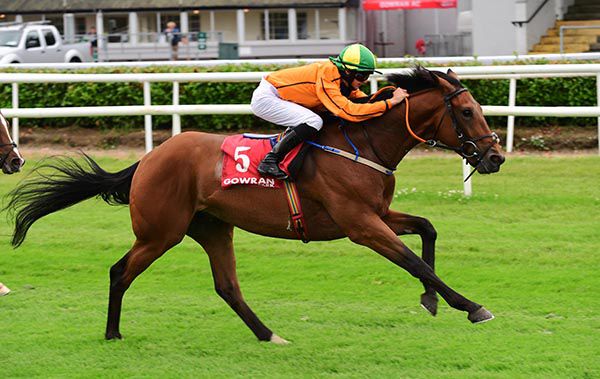 Dalvey strides out to score under Joe Doyle