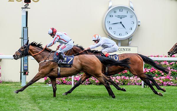Scarlet Dragon and Hollie Doyle (left) get up close home to collar Deja 