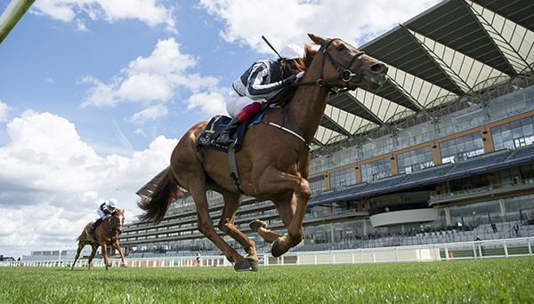 Alpine Star pictured on her way to victory at Royal Ascot