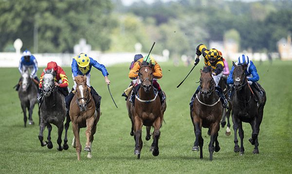 Dream Of Dreams (third left) was beaten a head by Hello Youmzain (second right) in the Diamond Jubilee Stakes