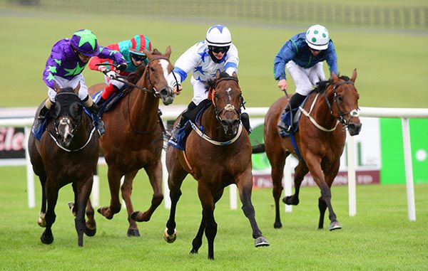 White and blue silks Joe Doyle wins on Make A Challenge