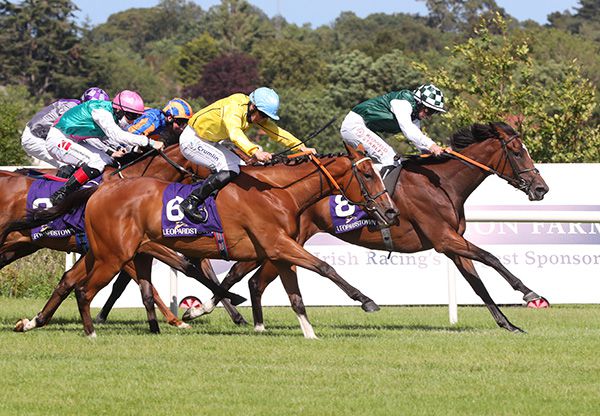 Getawiggleon (far side)