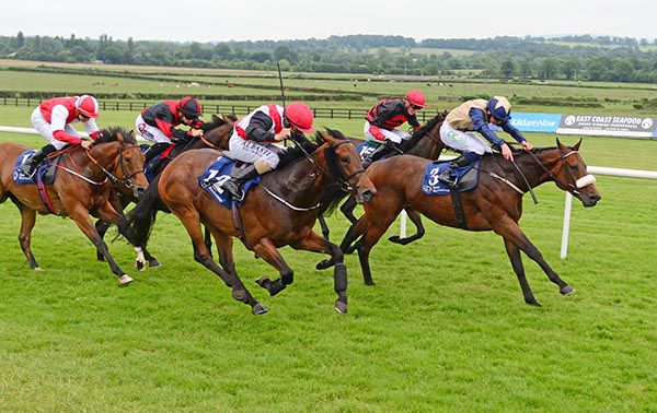 Hightimeyouwon (beats) Papa Bear (nearest) with Zephron third (on rail)