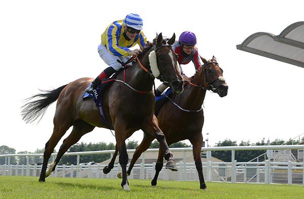 Baby Power and Gavin Ryan (left) win from Powersville