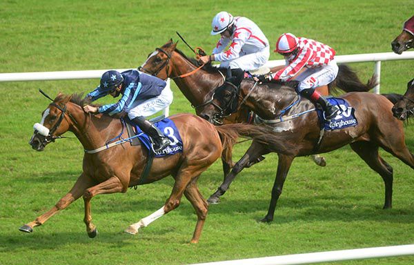           Red Vermillion wins under Sean Davis