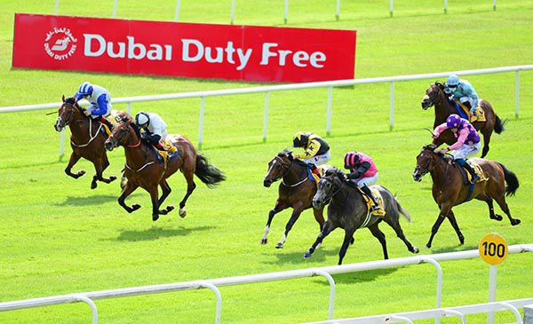 Big Gossey, near side, takes the first prize