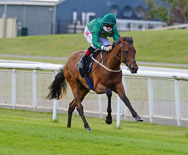 Frenetic impresses at the Curragh